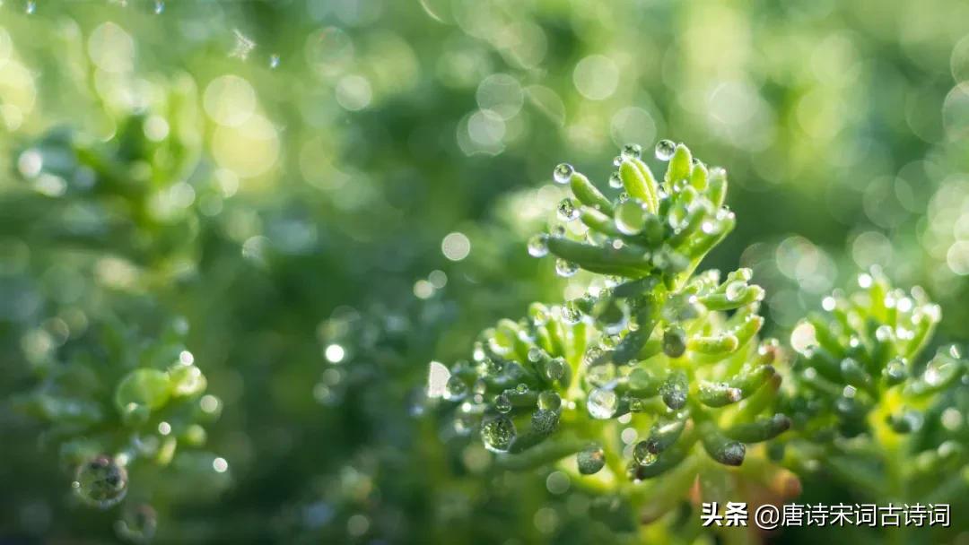 常有感恩之心文案,感恩之心常在