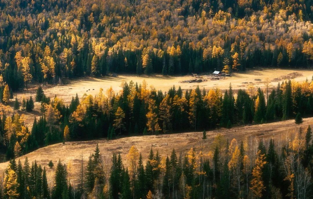 国庆七天要去哪里玩啊,国庆节七天怎么过不能出去玩