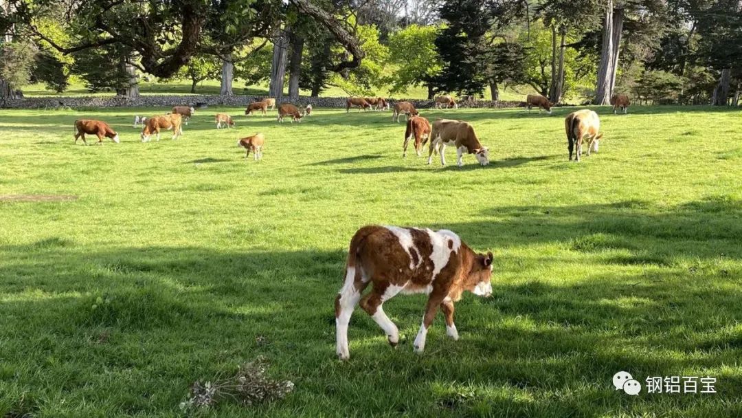 电气工程师入门课程,电气工程师都是怎样入门的