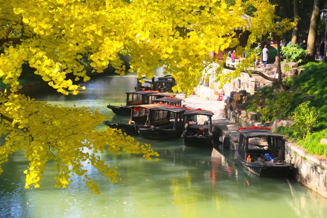 一入秋苏州成姑苏,秋色一入秋苏州就成了姑苏
