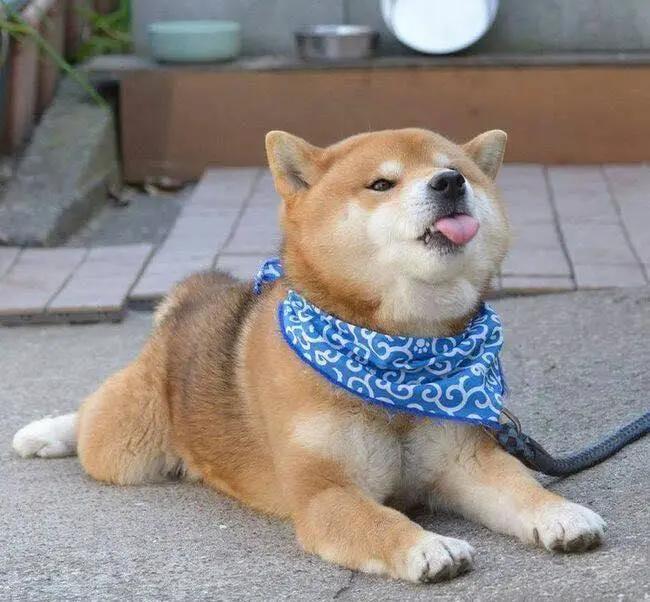 10平米小户型客卧一体简装效果图,半包10万装修效果图大全