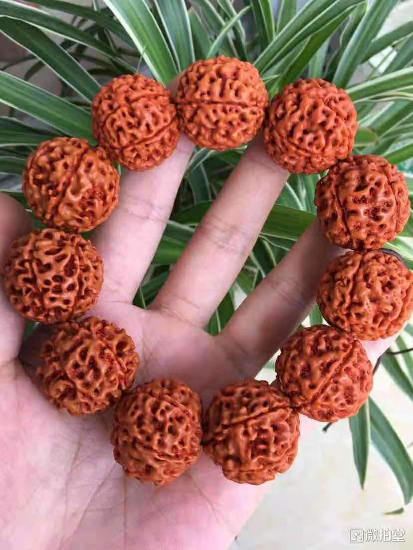 大小金刚菩提子区别图片,对金刚的认识和方法