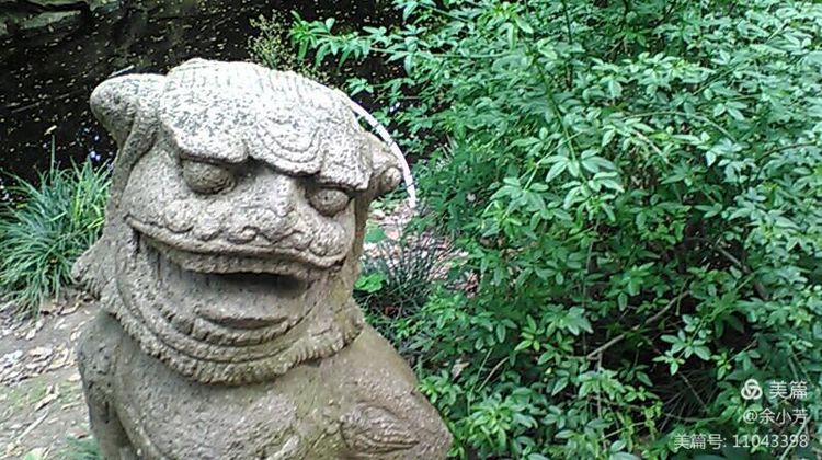 上海中山公园公寓,上海中山公园游玩攻略