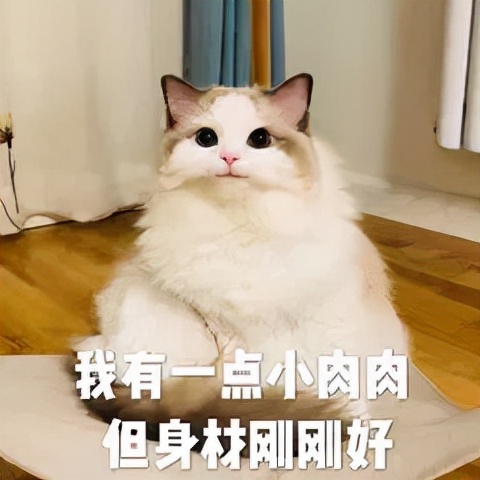 肾虚体寒喝什么,肾虚体寒需要治疗吗