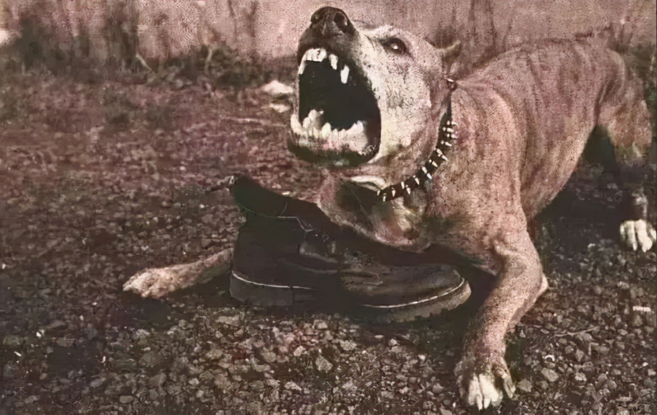 孙皓怎么当上吴国皇帝,东吴最后一个皇帝孙皓