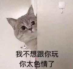 医生有点皮,医生很皮