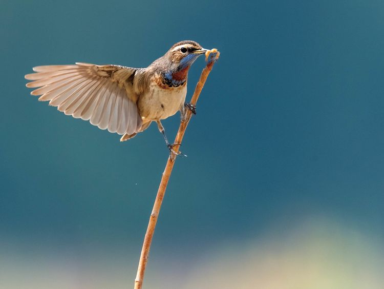 情人岛拍摄地点,情人岛航拍视频