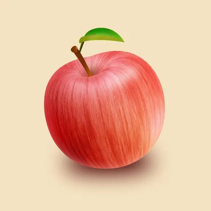 一年四季的时令蔬菜,一年四季的时令水果大全