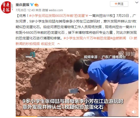 13岁男孩发现恐龙足迹,男孩玩耍时发现罕见恐龙足迹