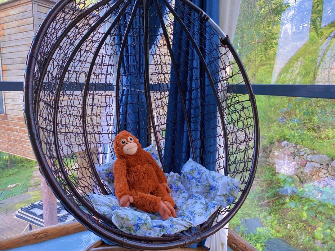 春树影舍畅享年卡，电影酒店+民宿，七夕送爱奇艺年卡会员等豪礼