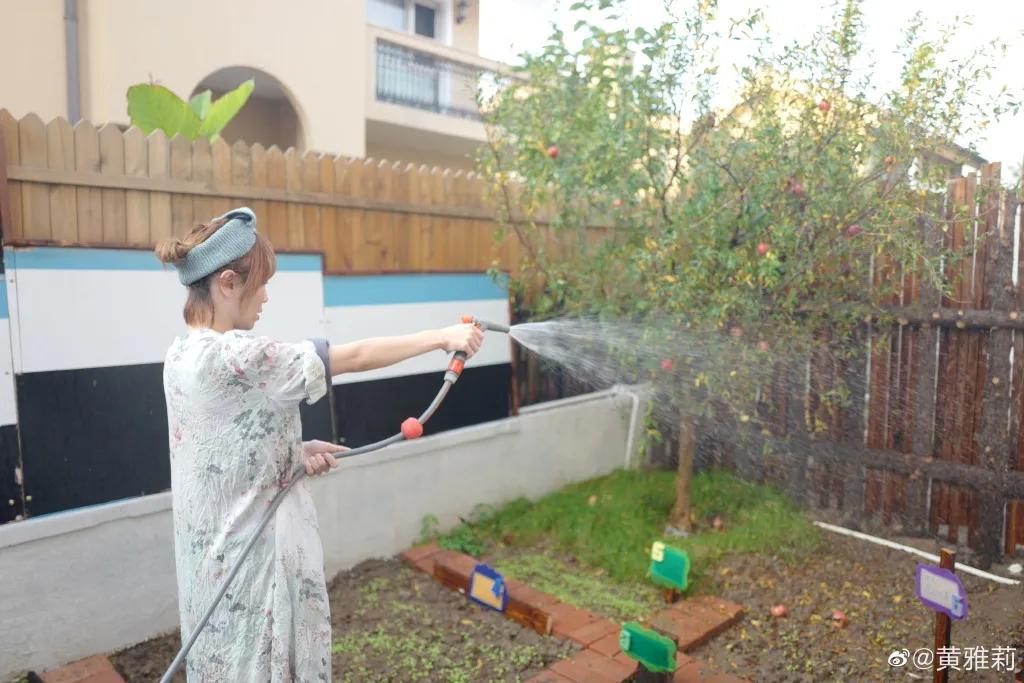 黄雅莉真实生活,黄雅莉的生活值不值得羡慕
