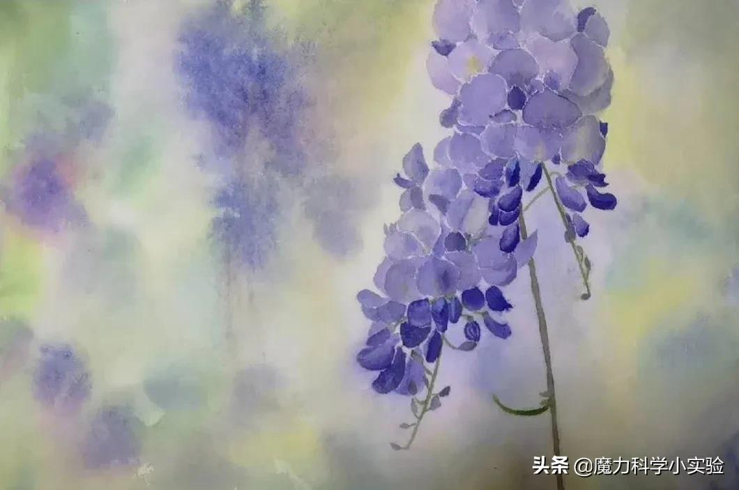 vlog我的日常从幼稚到成熟,vlog小时候的生活记忆