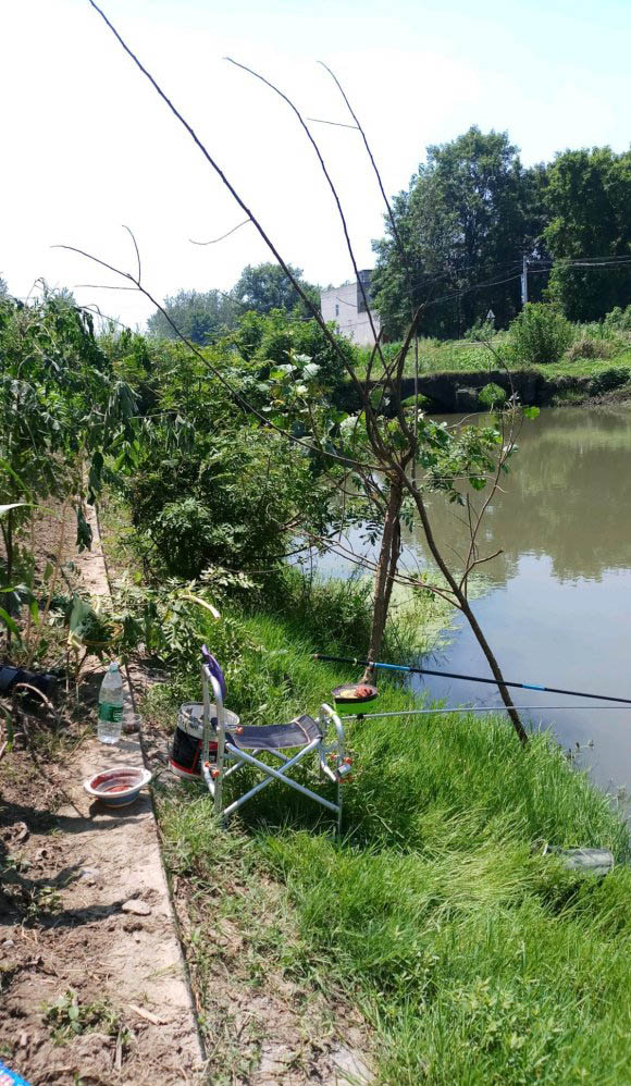 爱钓鱼的灵丹妙药,目前野钓比较好用的小药