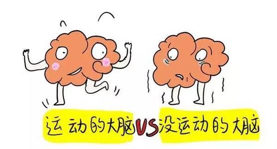 怎么样才能让大脑变得更聪明,怎么让自己变聪明开发大脑