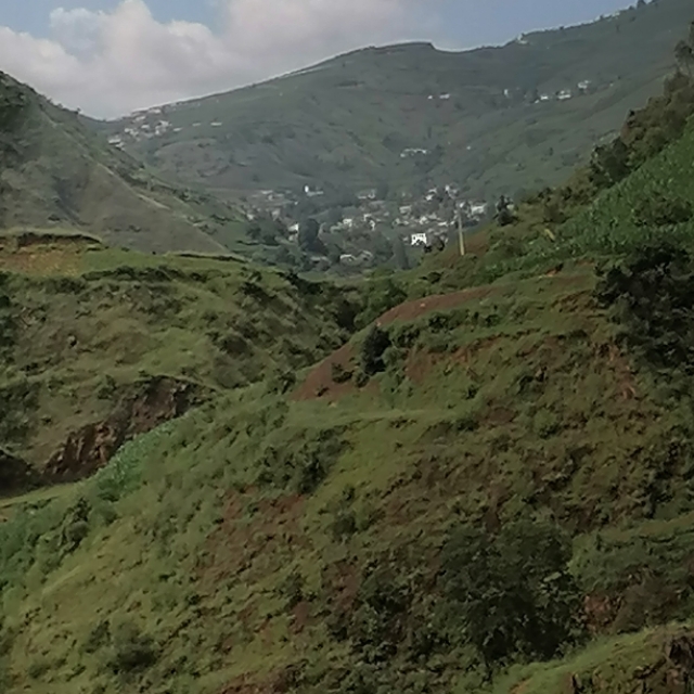 中国诗歌杂志2024年4期目录,中国诗歌周刊第185期