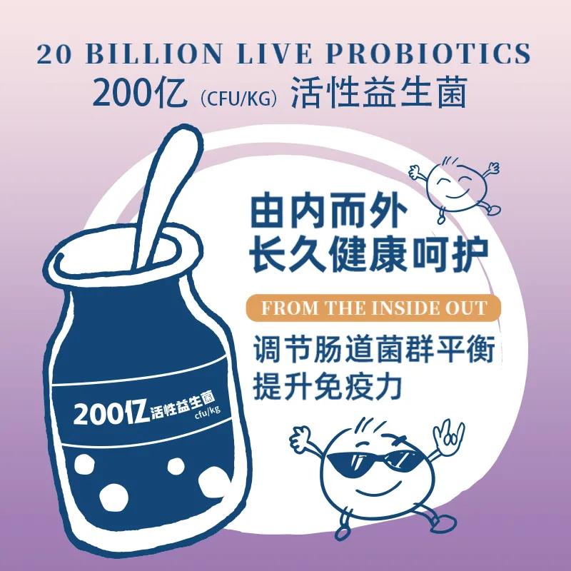 不办狗证狗被抓,不办狗证的狗被抓走会怎样