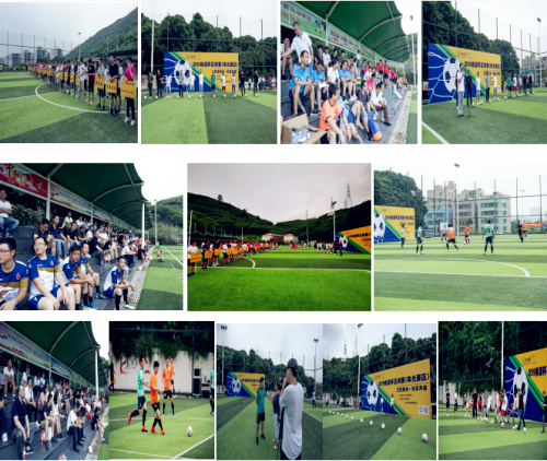 桃源杯足球比赛,桃源街道足球赛