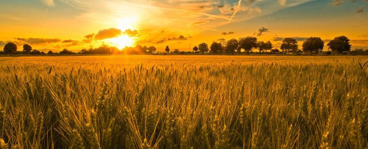 黄山三斤老板陈坤祥,来三斤创始人陈坤祥