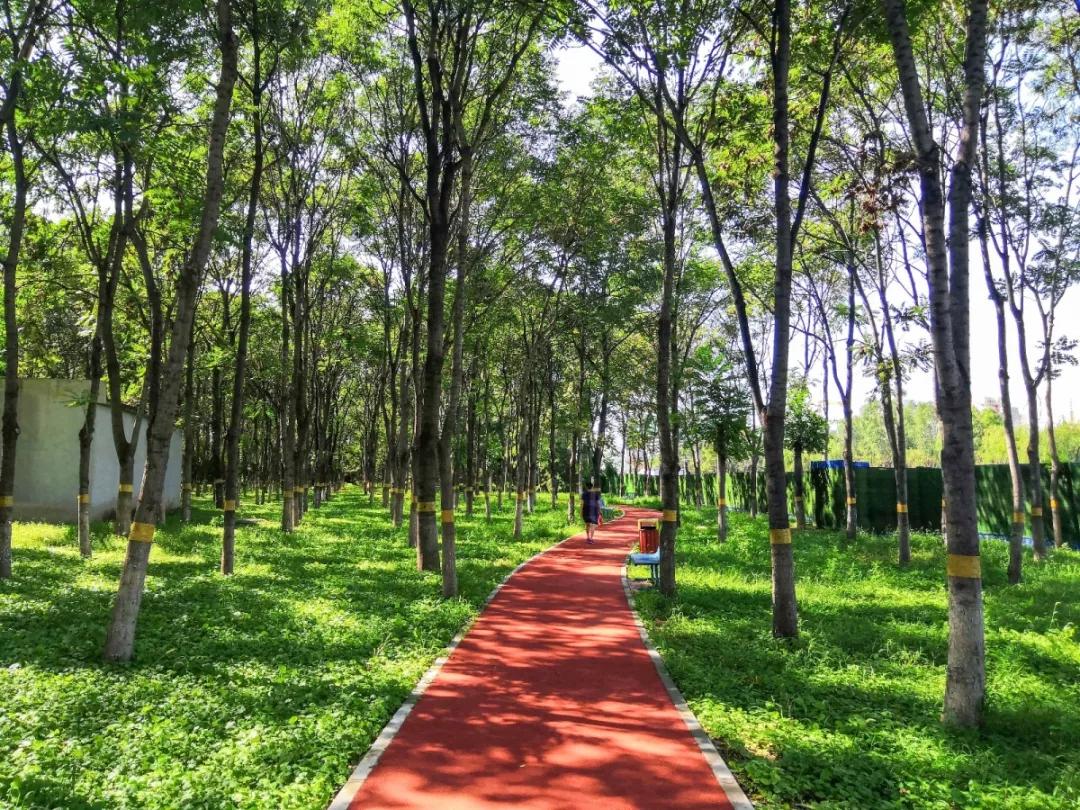 北京人少景美赏秋的公园,北京赏秋中山公园