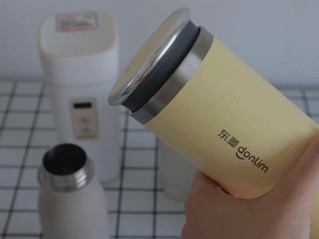 便携烧水杯摩飞和大宇,烧水杯推荐家用网红