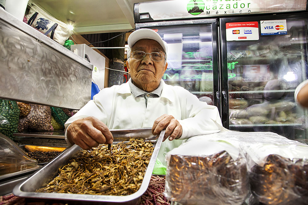 EATWILDLYINMEXICOCITY墨西哥城：食在野（二）