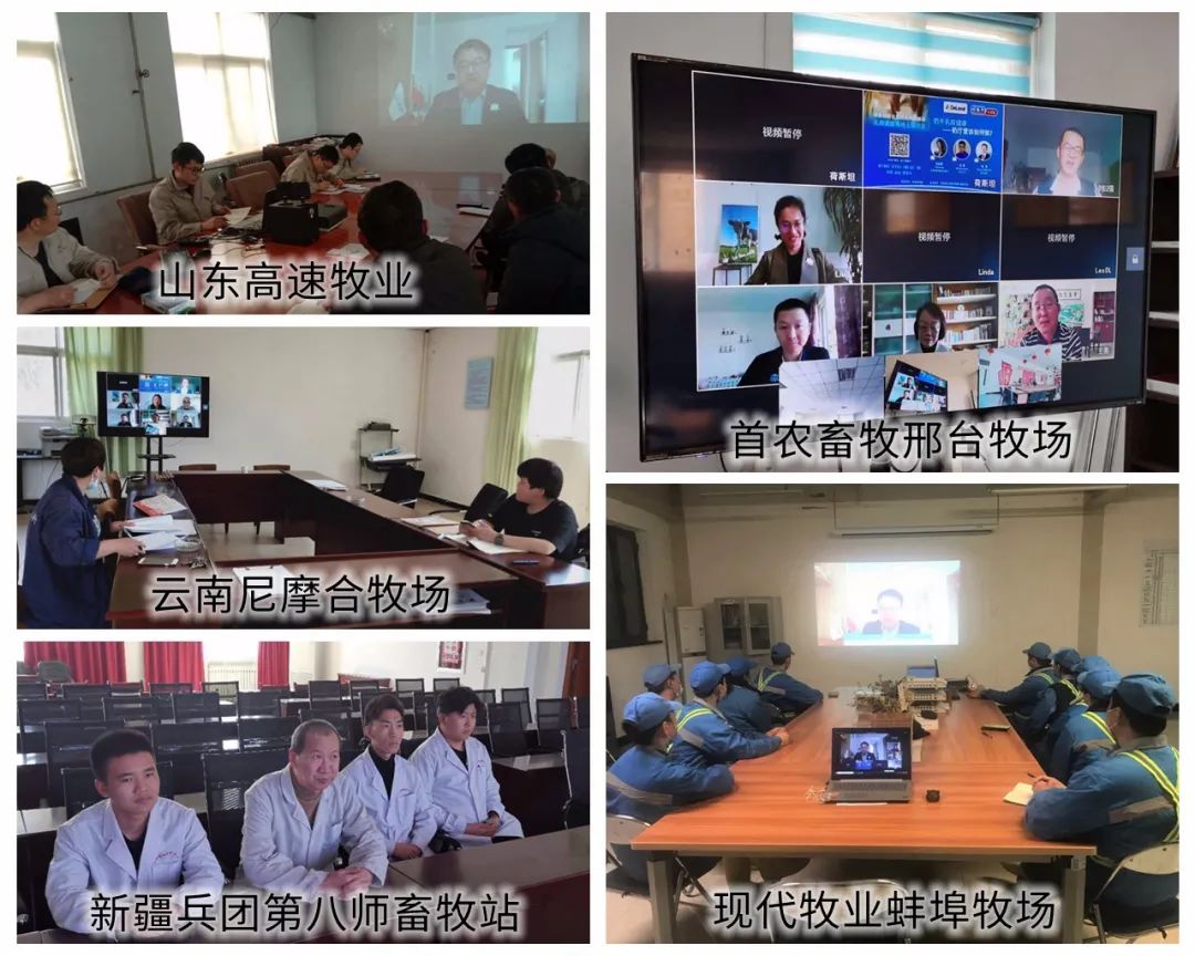 如何有效避免奶牛得乳房炎,奶牛停奶后得了乳房炎怎么回事