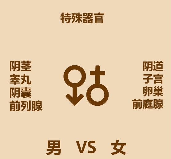 男女区别原版,男女区别视频讲解