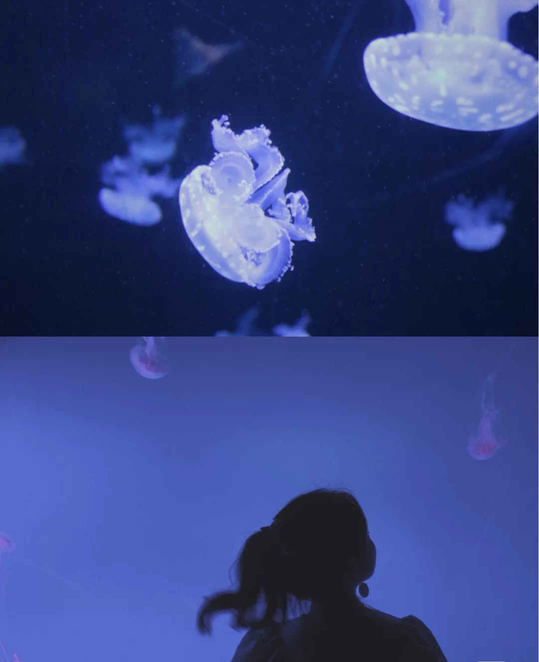 合肥周边亲子网红度假山庄,合肥适合亲子旅游的地方