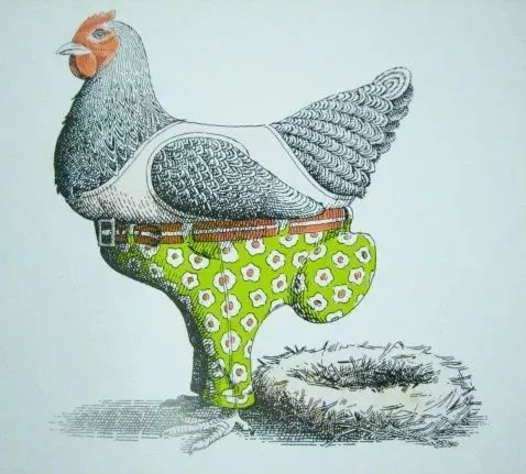 绘本推荐|《动物绝对不应该穿衣服》超级搞笑又有创意的绘本