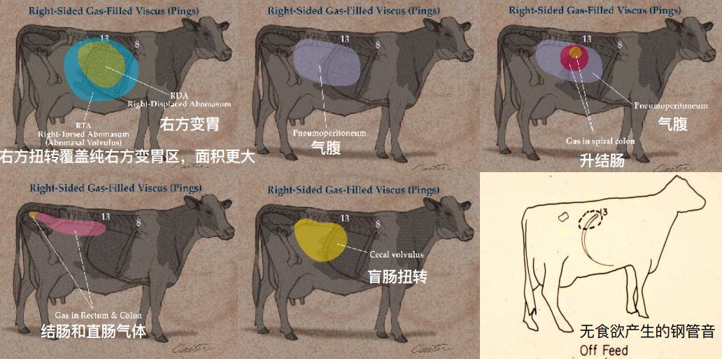韩铁柱：新产牛疾病防治