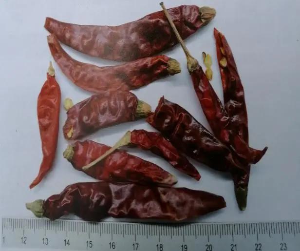辣椒药用作用,治各种辣椒的药