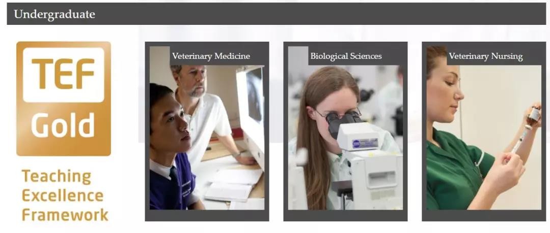 实力很强又低调的大学,实力强低调的211