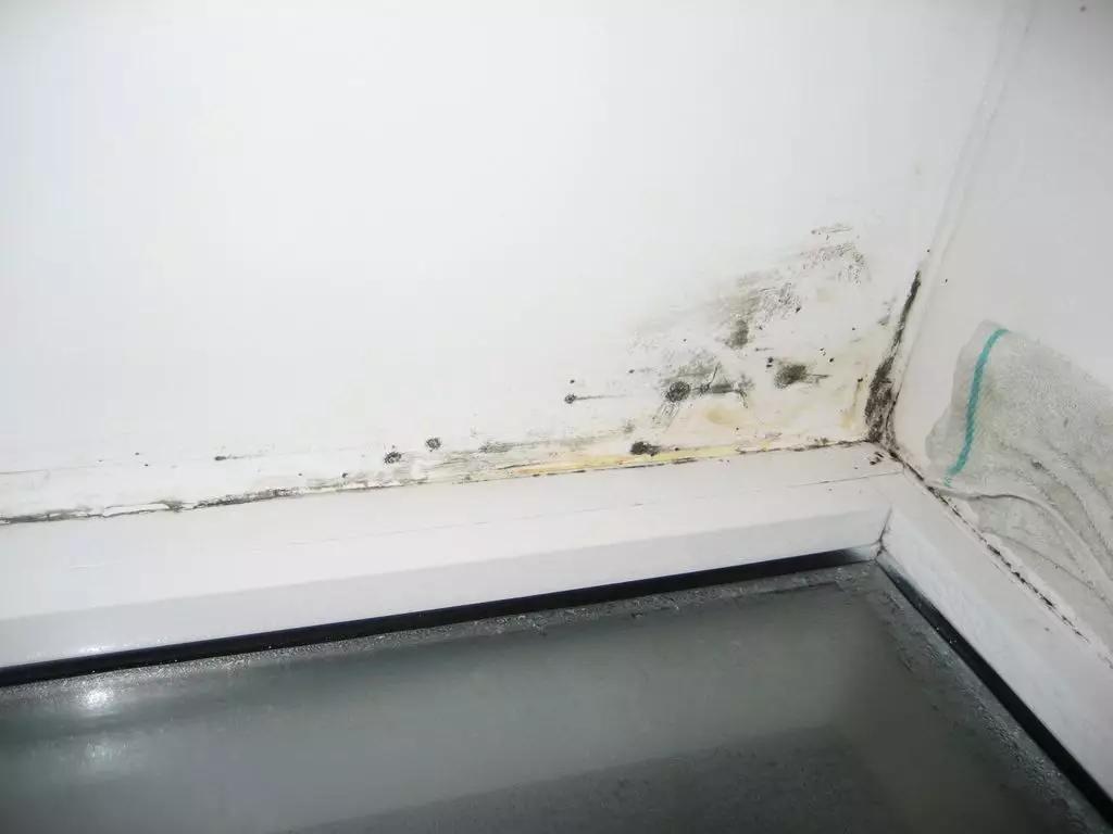 白墙有黑霉点怎么去除,白墙钉子洞怎么去除