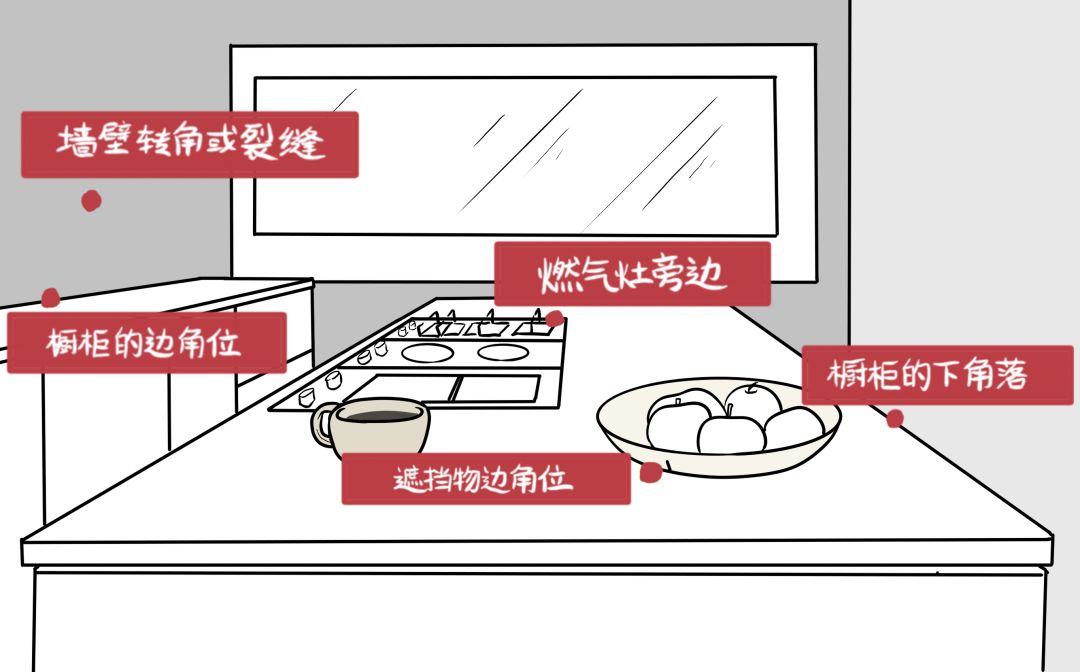 灭蟑螂最好的方法最简单的,灭蟑螂的方法可以消灭蚂蚁吗