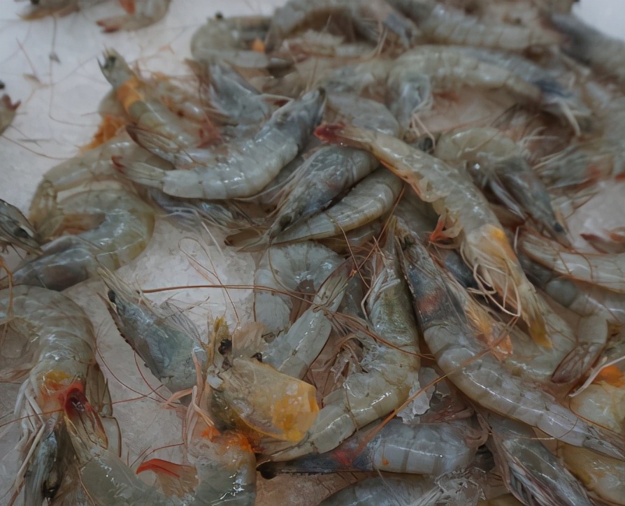 冷鲜虾如何挑选,怎样选冰鲜虾