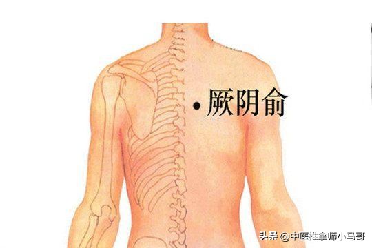 得了支气管炎不想吃药怎么办？马哥教你通过按摩调理