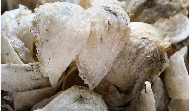 机场免税店购物一般买什么,三亚机场免税店哪些便宜值得买