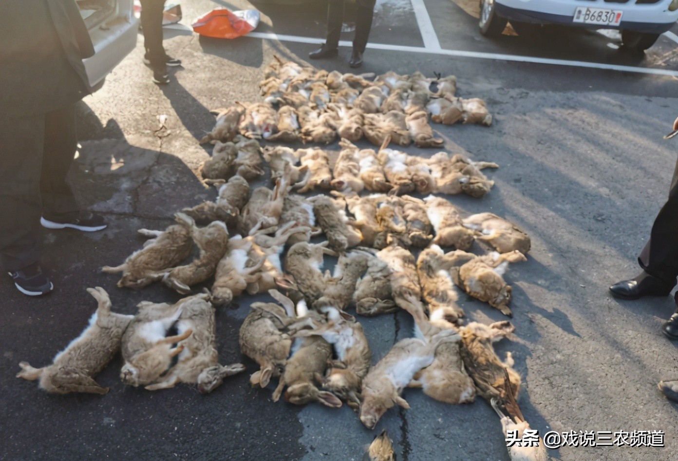 国家整治的三种小行业,近期严查的六种行业