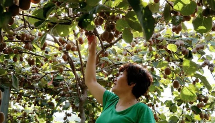 许昌八里沟跟团一日游,许昌五一八里沟一日游