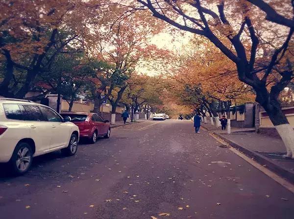 青岛八大关每个楼的故事,今天的青岛八大关