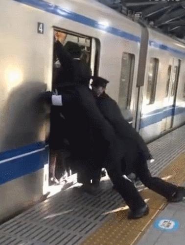 日本猫岛为什么有那么多猫,日本猫岛上为什么有这么多猫