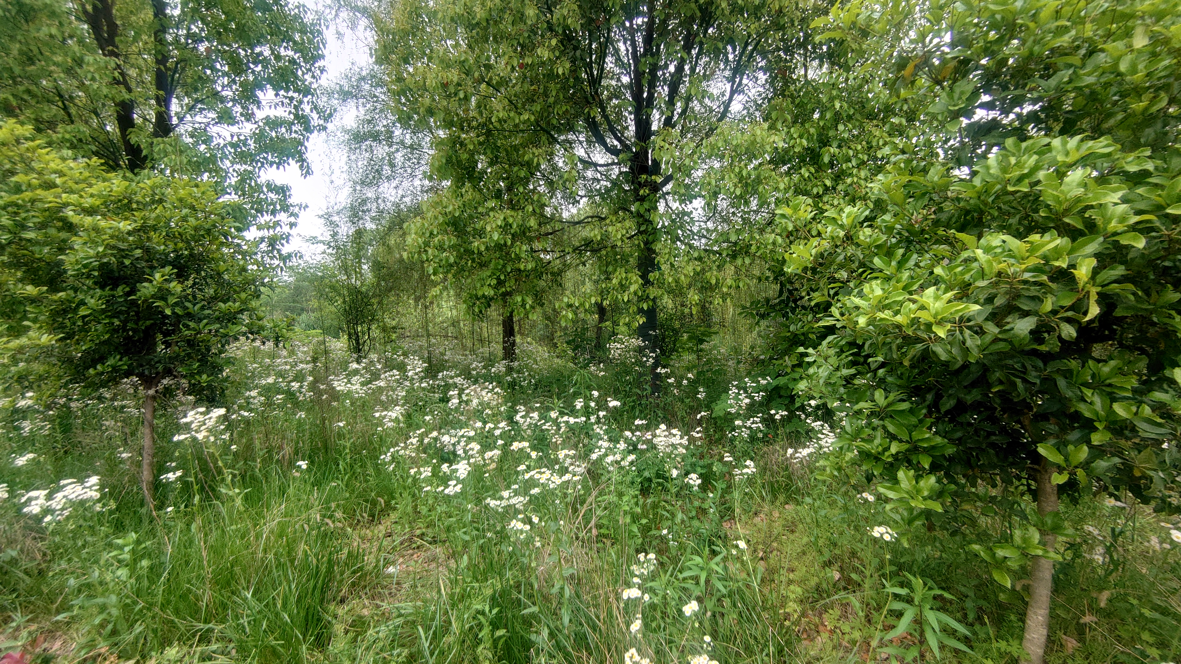 索尼微单手机xperia5i,索尼xperia5ii深度评测