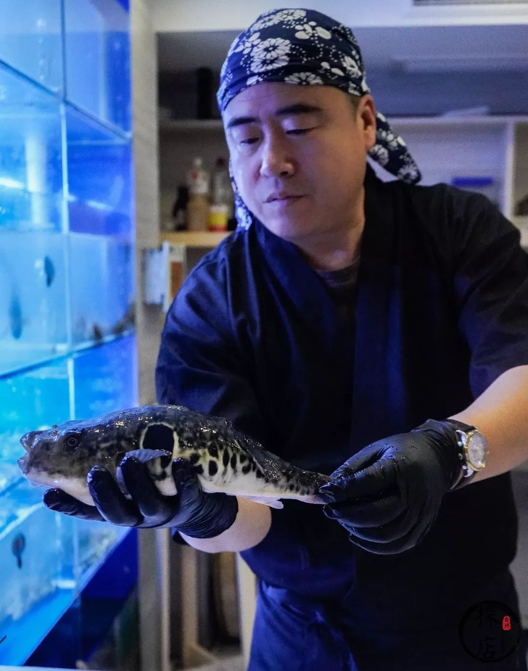 台州十大日料店,台州日料店推荐