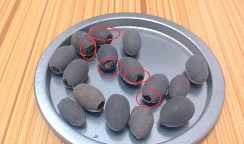 碗莲夏天能全天暴晒吗,碗莲夏天用量