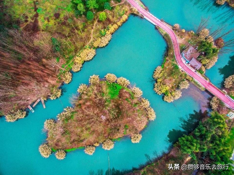 成都散步绿道有多好,逛绿道看风景