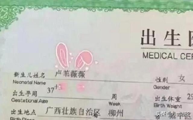 我的名字有88个笔画!等我把名字写完,同学已经做完好几道题了