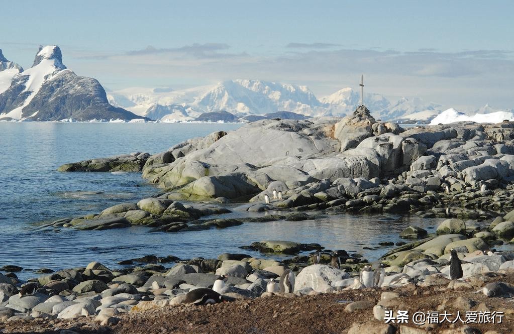 一生必去的南极，长期与世隔绝美景感人，中国游客：不虚此行