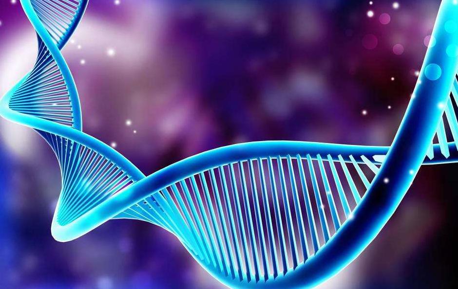 生物医学新技术管理条例：基因编辑拟由国家卫健委审批