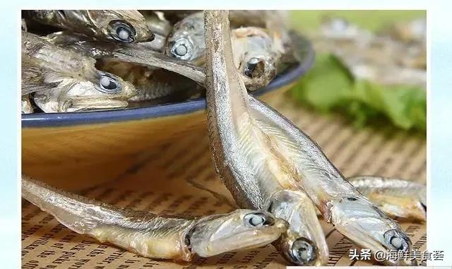 哪种海鱼最好养又便宜又好吃,便宜耐养的海鱼有哪些种类