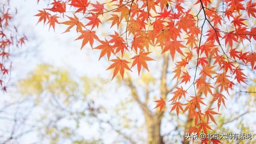 年度十佳微小说感言,十大经典微小说推荐